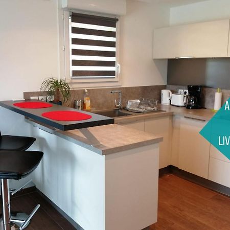 Le Cocon Du Leman Apartment Viry  ภายนอก รูปภาพ