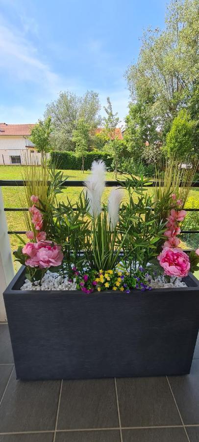 Le Cocon Du Leman Apartment Viry  ภายนอก รูปภาพ