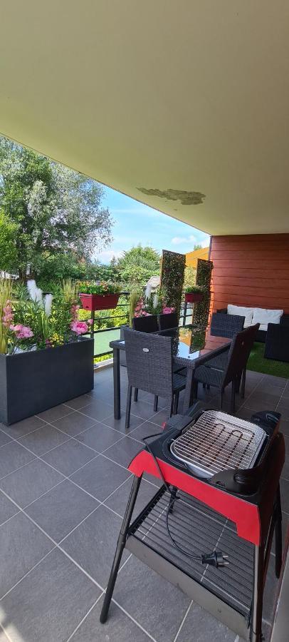 Le Cocon Du Leman Apartment Viry  ภายนอก รูปภาพ