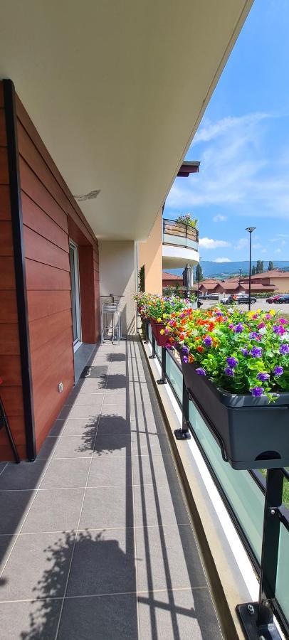 Le Cocon Du Leman Apartment Viry  ภายนอก รูปภาพ