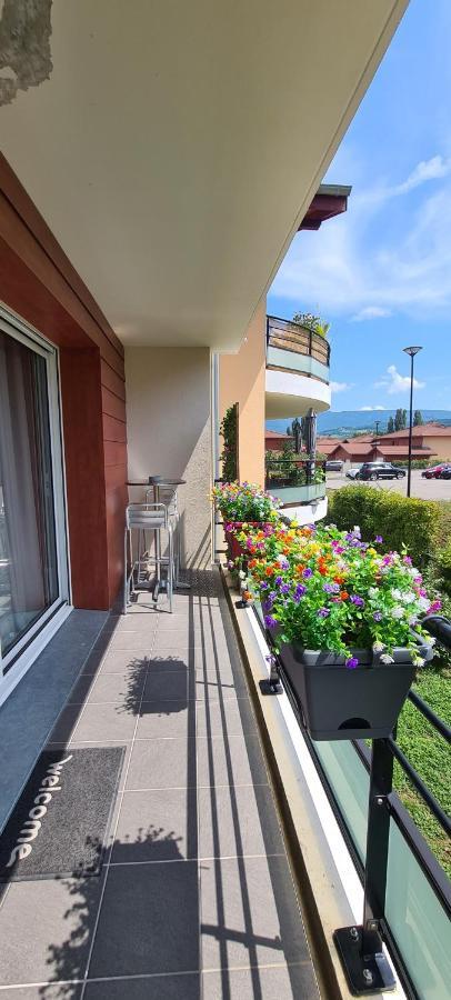 Le Cocon Du Leman Apartment Viry  ภายนอก รูปภาพ