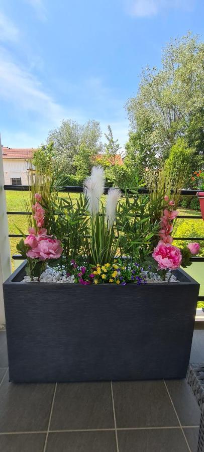 Le Cocon Du Leman Apartment Viry  ภายนอก รูปภาพ