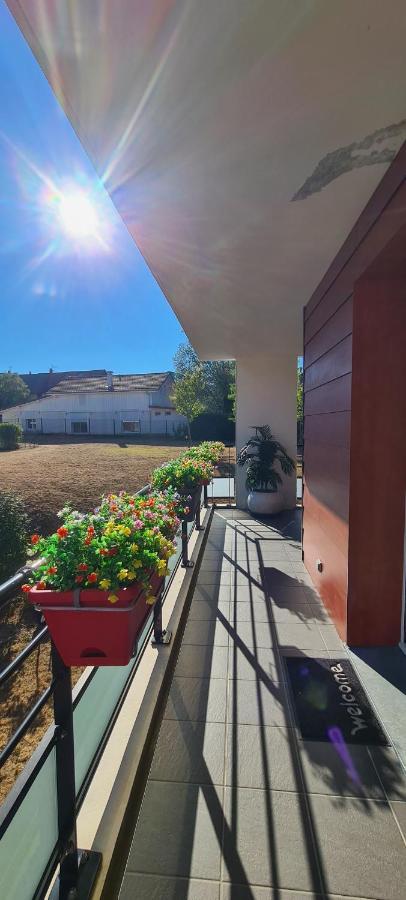 Le Cocon Du Leman Apartment Viry  ภายนอก รูปภาพ