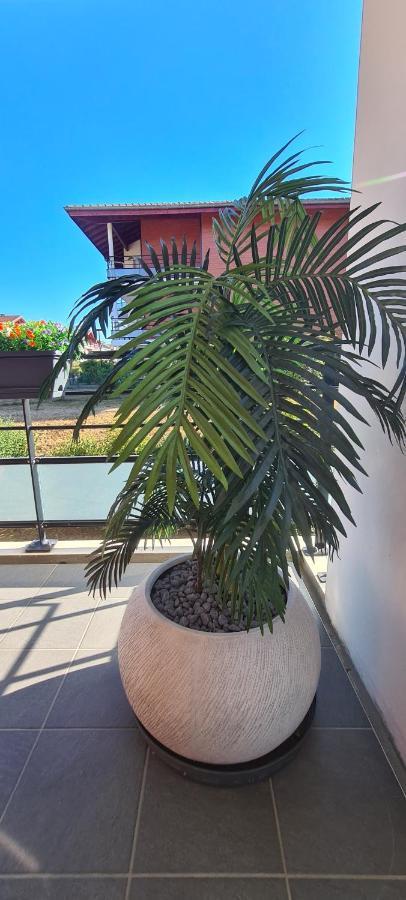 Le Cocon Du Leman Apartment Viry  ภายนอก รูปภาพ
