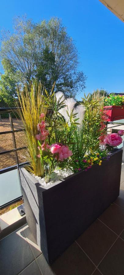 Le Cocon Du Leman Apartment Viry  ภายนอก รูปภาพ